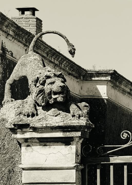 RESIDENTIAL LIONS