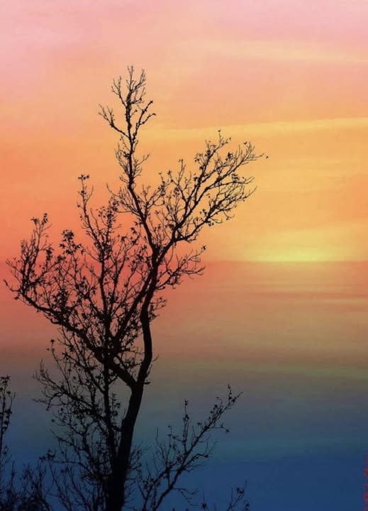 IN THE FOGGY, WARM, SOUTHERN SUNSET