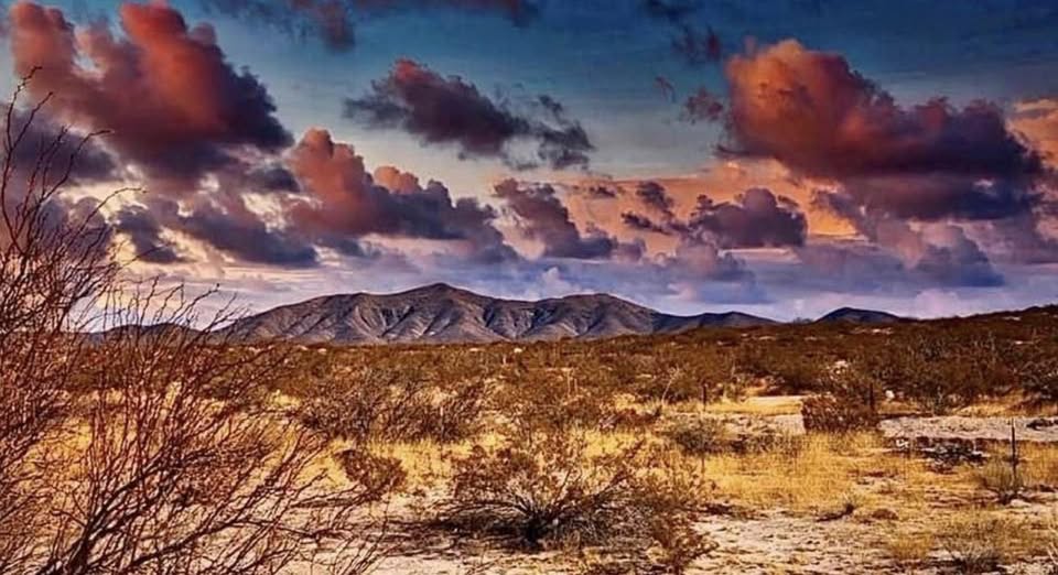 NEW MEXICAN SUNSET / IN THE DESERT