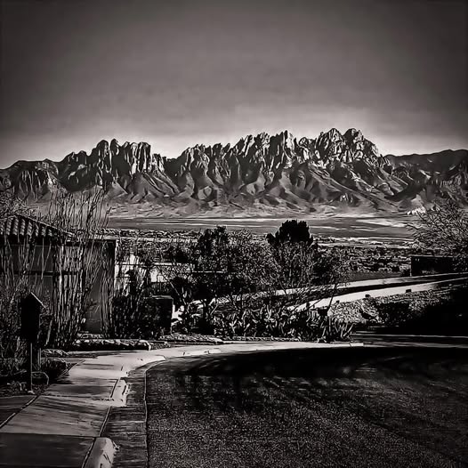 ORGAN MOUNTAINS FROM PICACHO HILLS