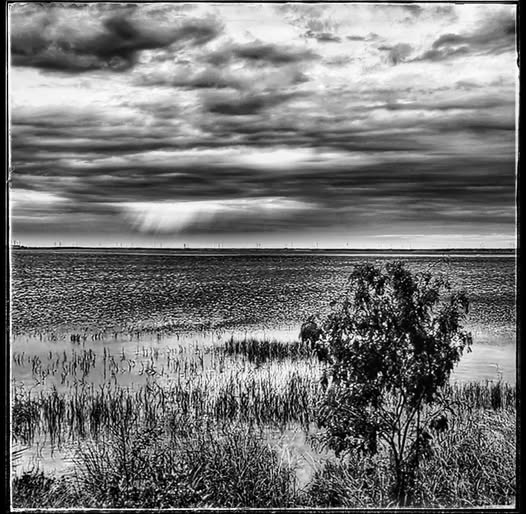 NATIONAL WILDLIFE REFUGE