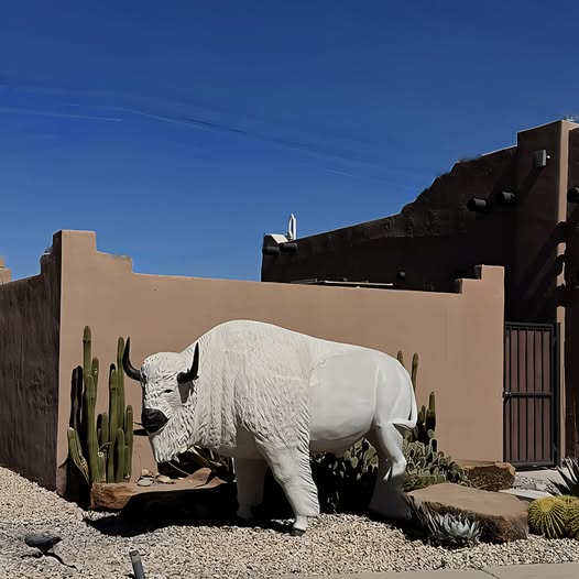 THE WHITE BUFFALO