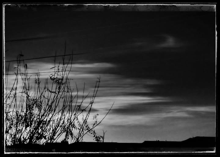 CHIHUAHUA DESERT DAWN