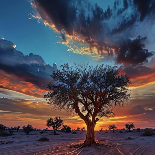 LISTENING TO THE SOUND OF SILENCE