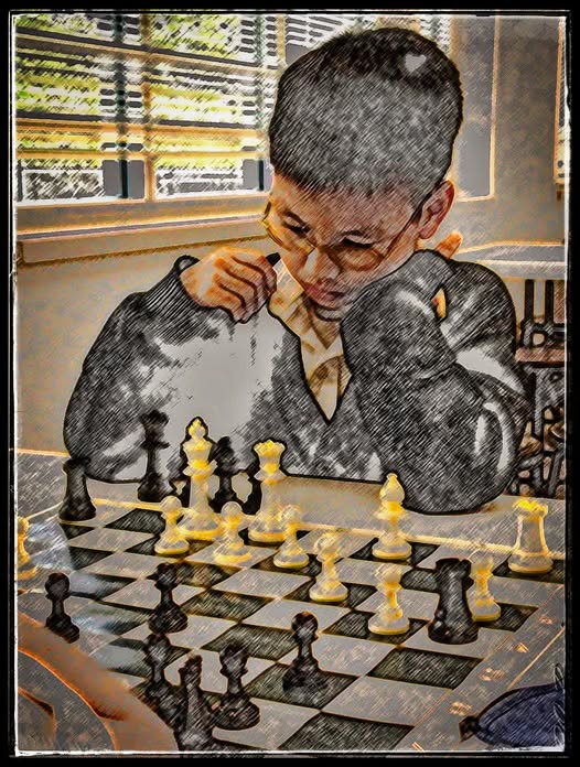 THE VIETNAMESE CHESS PLAYER