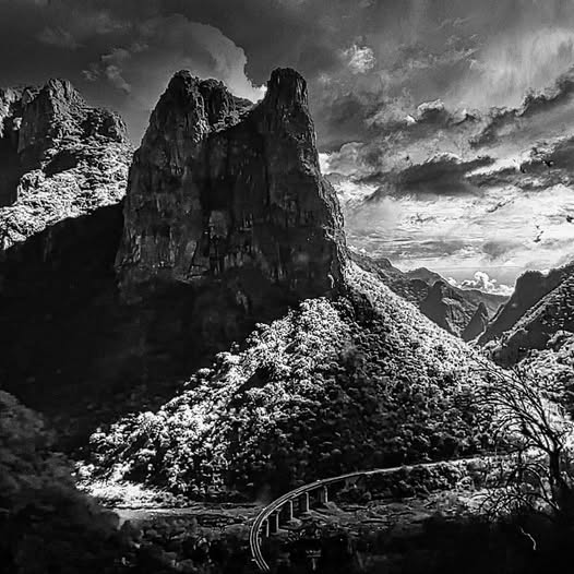 VISTAS DESDE EL CHEPE EXPRESS