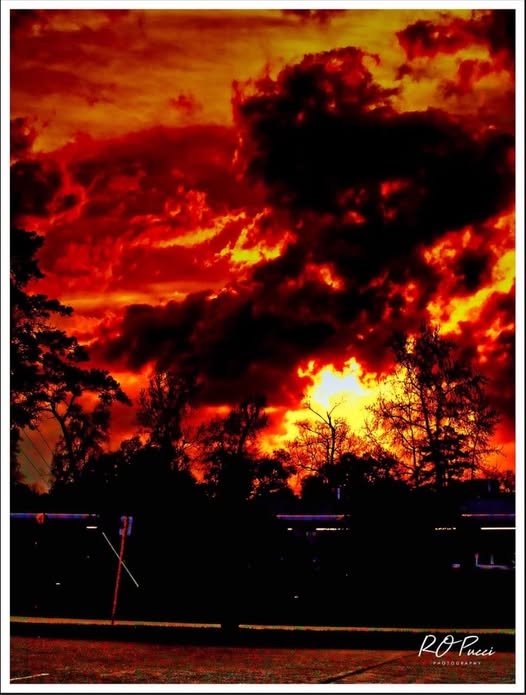 FM1960 / PLAZA SUNSET