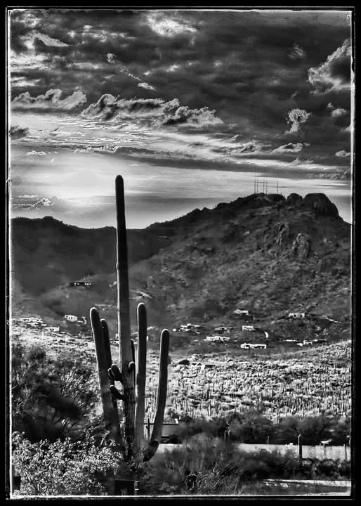 ESSENTIAL ARIZONA
