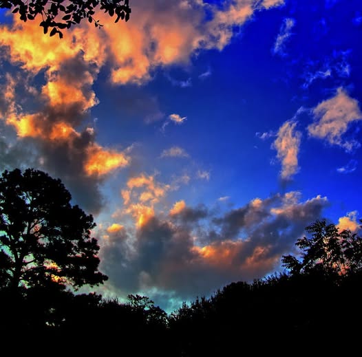 IN A CREPUSCULAR LIGHT