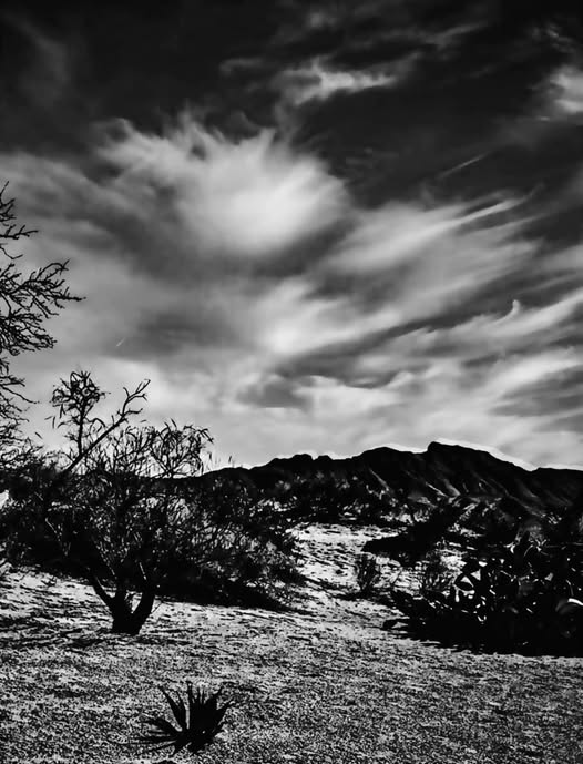 DESERT PERSPECTIVES
