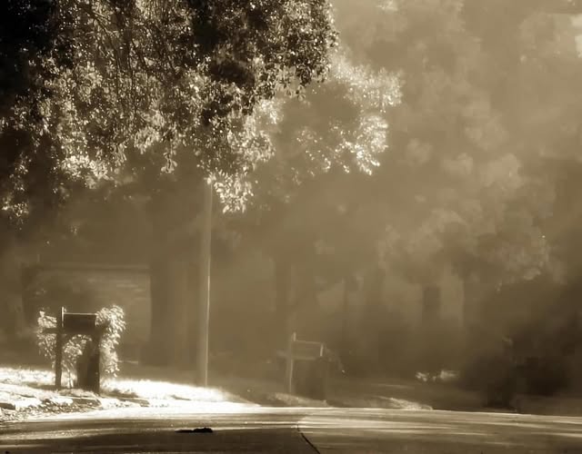 MAILBOXES / EARLY IN THE MORNING