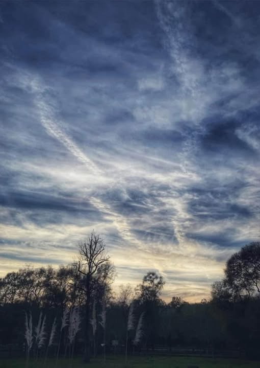 VANISHING POINT IN BLUE