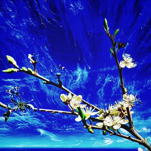 WITH SPRINGTIME AROUND THE CORNER