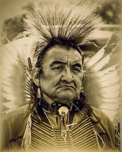 WARRIOR / POW WOW AT THE TRADERS’ VILLAGE, TEXAS