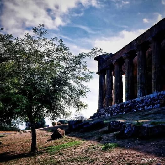 AGRIGENTO TREASURE CHEST / IN THE VALLEY OF THE GREEK TEMPLES