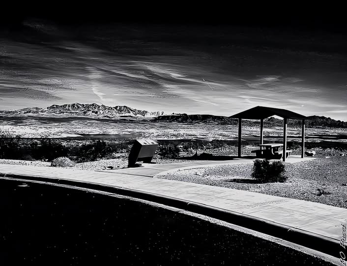 COFFEE IN THE DESERT