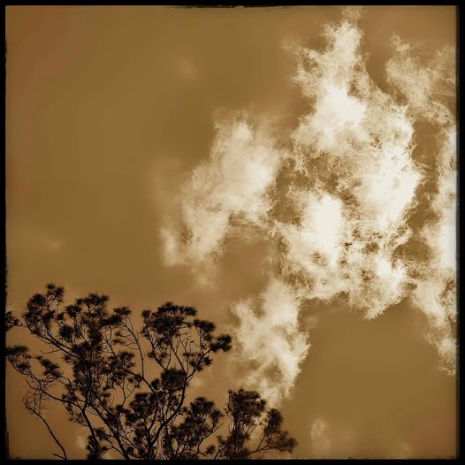 TREE AND CLOUDS