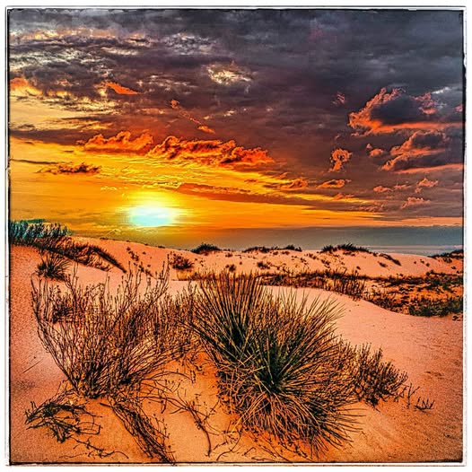 SUNSET IN THE DESERT