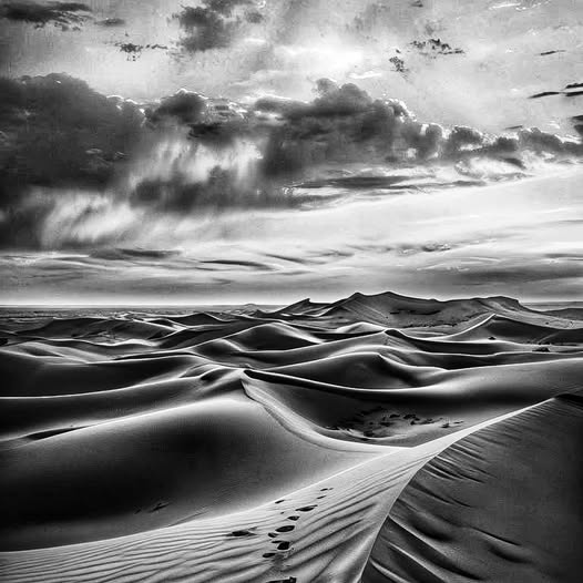 WHITE SANDS NATIONAL PARK