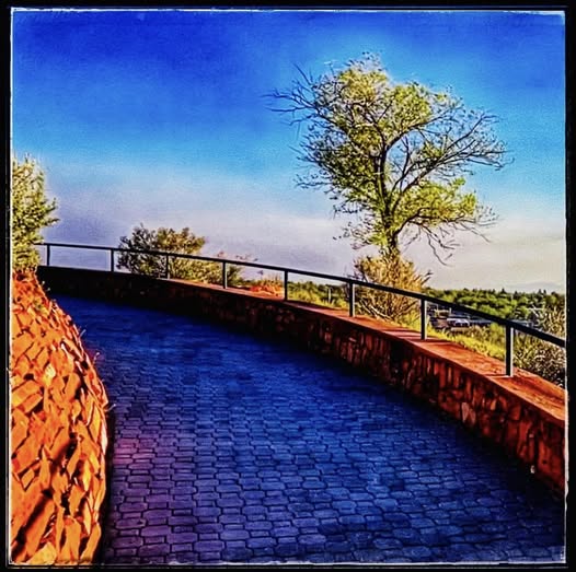THE TREE / STUCK BY THE BEND
