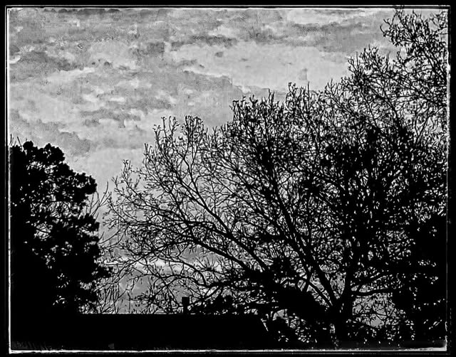 LAST OF THE YEAR DAWN