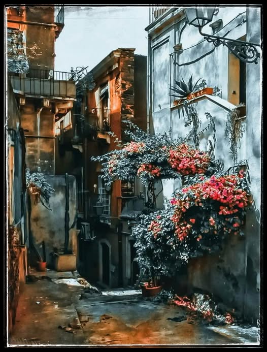 LITTLE SICILIAN ALLEY