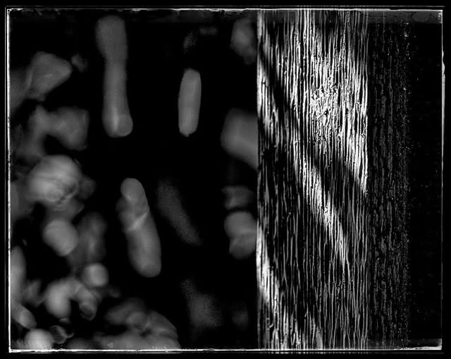 SHADOWS / ABSTRACTION