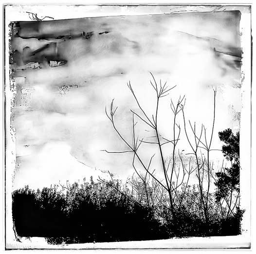 SURPRISES FROM A WINTER NATURE