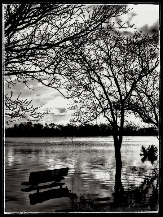 BENCH AFTER THE FLOOD