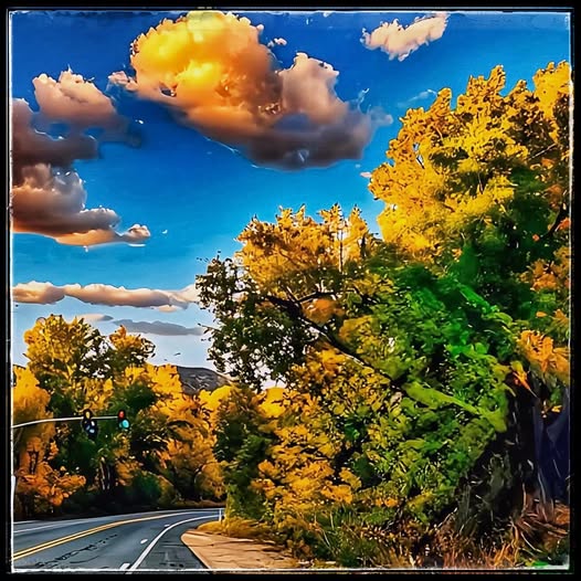 IN THE STATE OF NEW MEXICO