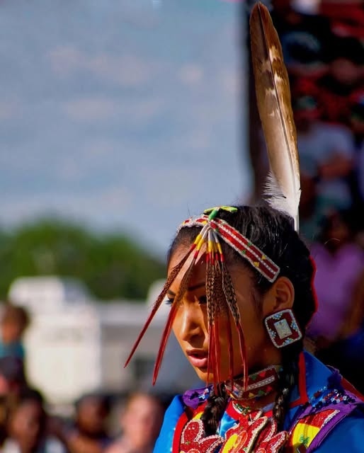 A NATIVE DANCER ON A BRIGHT DAY