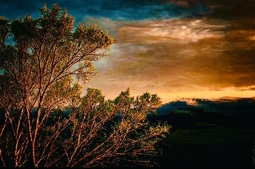 SEHNSUCHT FUER DIE GRUENE WELT / NATURALLY ABSTRACT