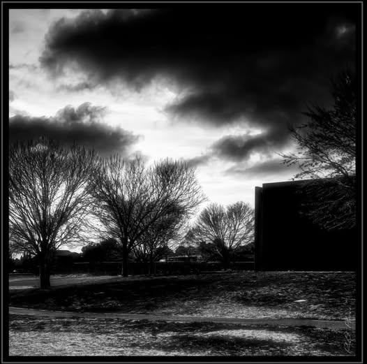 A NATURAL LONELINESS