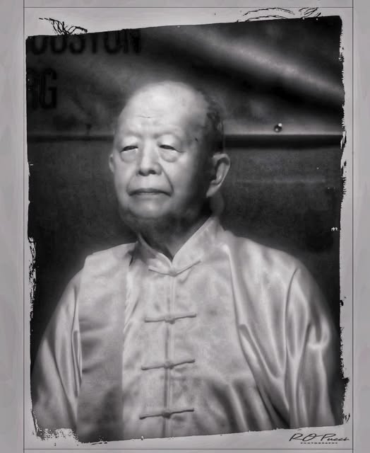 TAI CHI GENTLEMAN / IN TOUCH WITH TRADITIONS