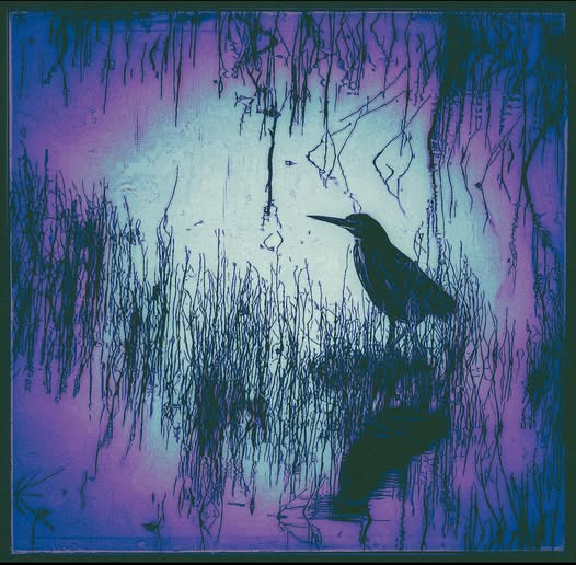SWAMP BIRDS