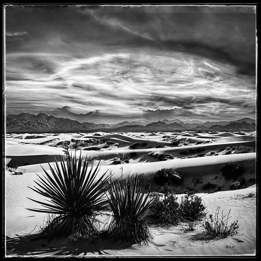 WHITE SANDS NATIONAL MONUMENT