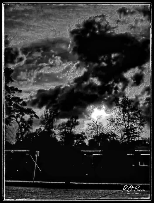 FM1960 / PLAZA SUNSET