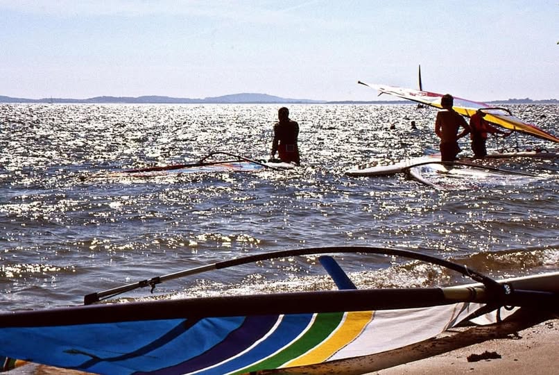 WINDSURFERS